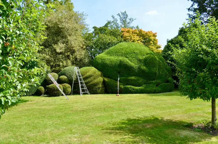 Paysagiste dans le Val-de-Marne, photographie d’illustration