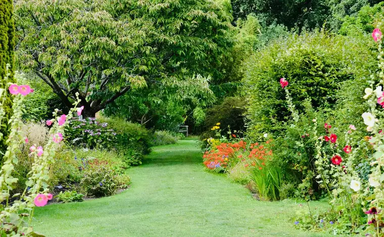 Création de jardin, photographie d’illustration