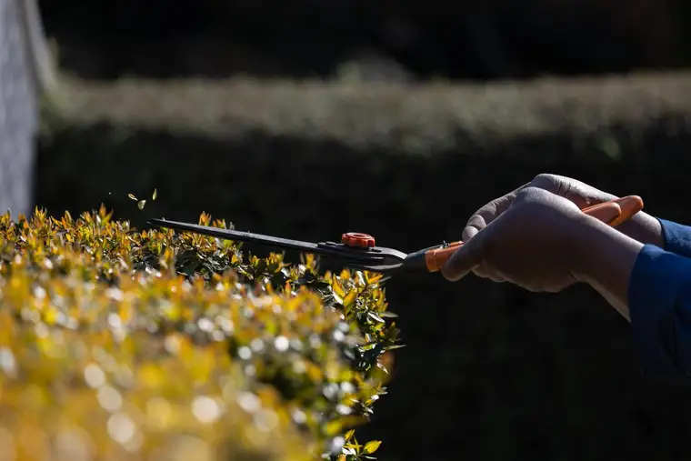 Entretien de jardin, photographie d’illustration